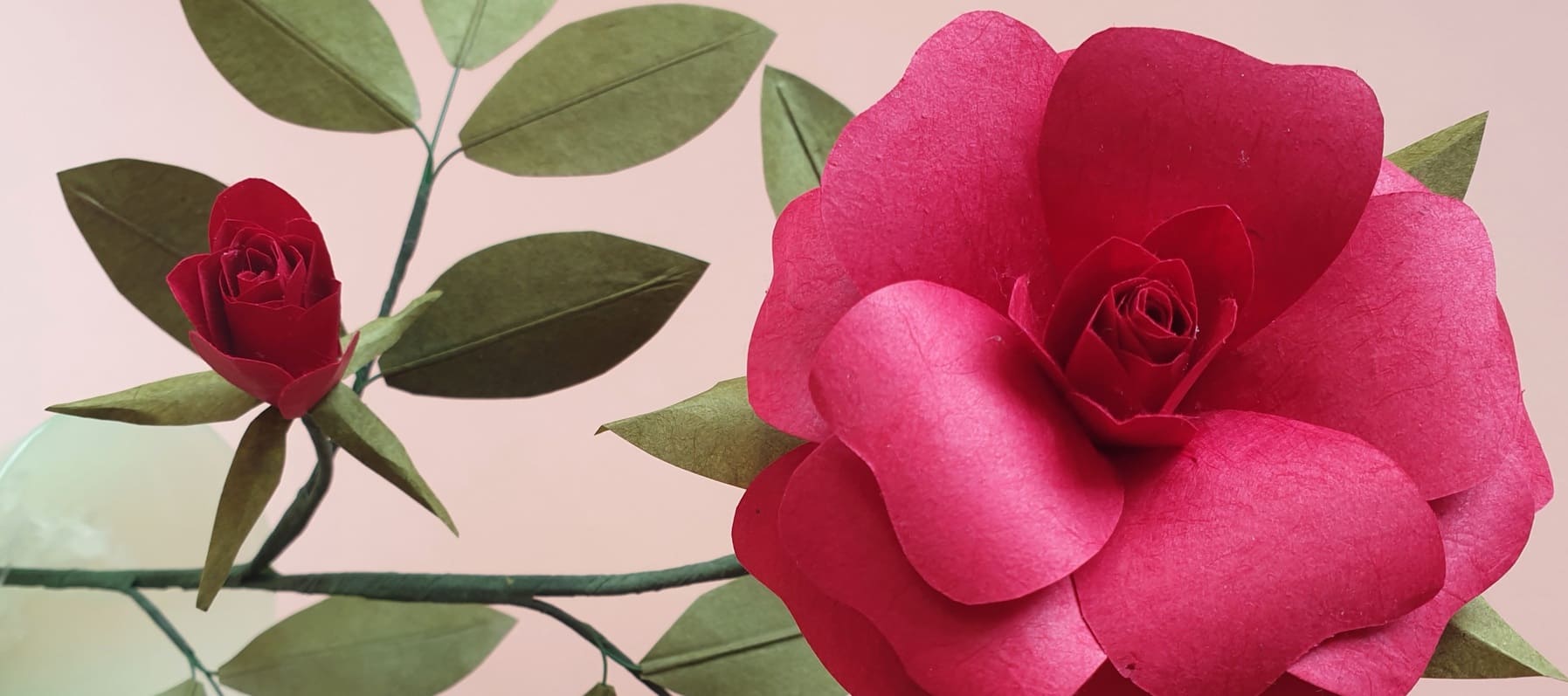 photo tuto rose avec bouton